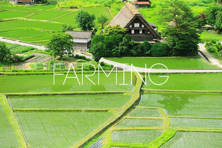 FARMING IMG